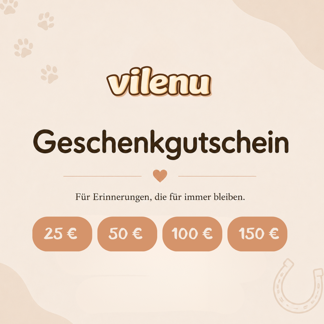 🎁 Vilenu Geschenkgutschein